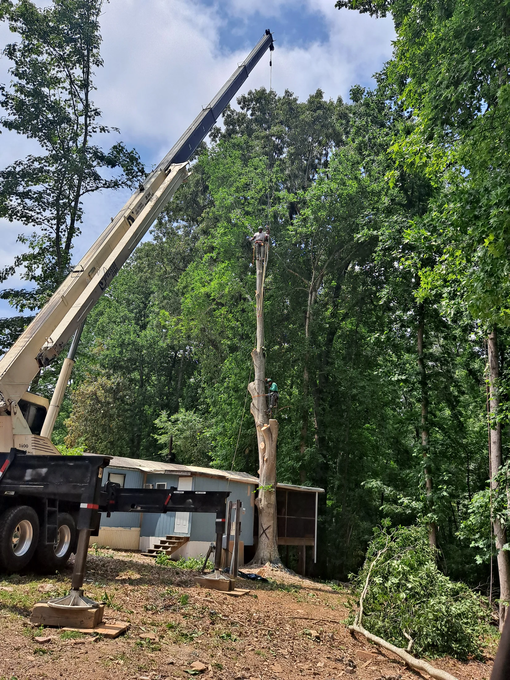 Tree Men Services crew using a crane and climbing rigging to remove a large tree beside a Raleigh-area home